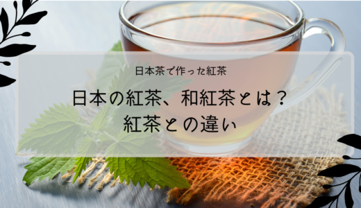 【日本茶で作った紅茶】日本の紅茶、和紅茶とは？紅茶との違い